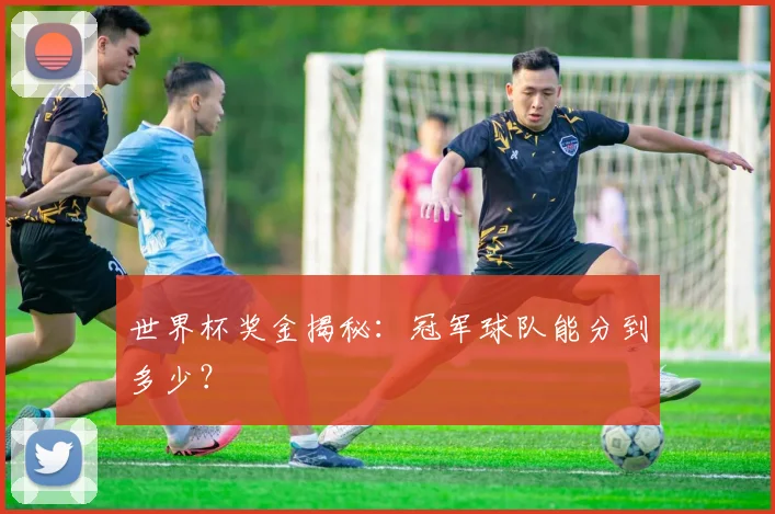 世界杯奖金揭秘:冠军球队能分到多少?