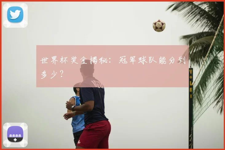 世界杯奖金揭秘：冠军球队能分到多少？