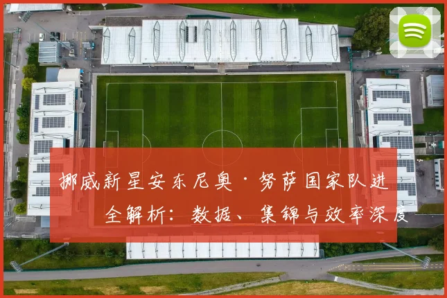 挪威新星安东尼奥·努萨国家队进球全解析：数据、集锦与效率深度回顾